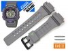 CASIO STL-S100H -8AV oryginalny pasek 18 mm 10487316